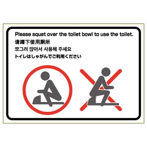 ヒサゴ 【NEW!トイレ掲示用】はがせる！ピタロングステッカー トイレの使用方法（和式） A4 ヨコ