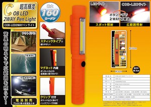 Light/Lantern Penlight 2-way