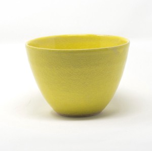 Shigaraki ware Donburi Bowl Yellow