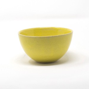 Shigaraki ware Rice Bowl Yellow