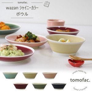 Hasami ware Donburi Bowl Calla Lily Made in Japan