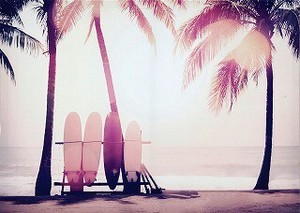 キャンバスアート Carino Canvas Art Surfboard and palm tree　700x500mm