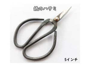 Scissors 5-inch