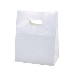 General Carrier Paper Bag White