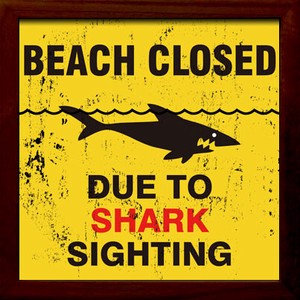 サインフレーム SIGN FRAME Shark Sighting