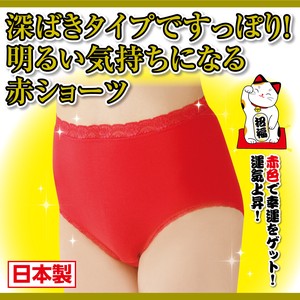 Panty/Underwear 2-pcs pack Made in Japan