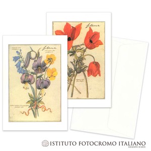 【イタリア製】ISTITUTO FOTOCROMO ITALIANO/I.F.I　グリーティングカードFLOWER