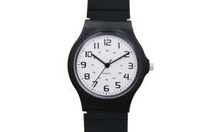 【腕時計】ラバーベルト  ハーヴィー ホワイト DT108-1