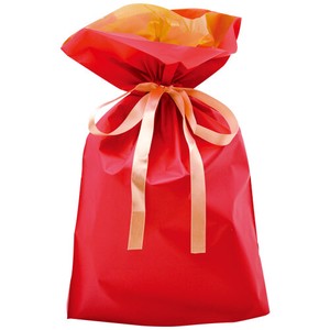 Drawstring Plastic Gift Bag Red