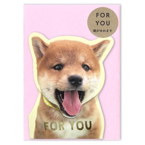 Greeting Card Pudding Shiba Dog