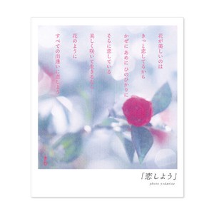 < ポストカード >言葉の花束PC KIM-F20「恋しよう」