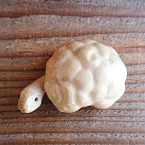 マンモスの牙の根付　椎茸亀　カメ　【工芸品】