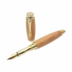 Fountain Pen M Made in Japan
