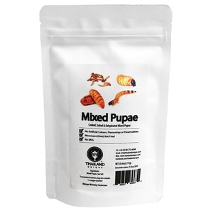 Mixed Pupae2 17g(サナギ,幼虫ミックス2 17g)
