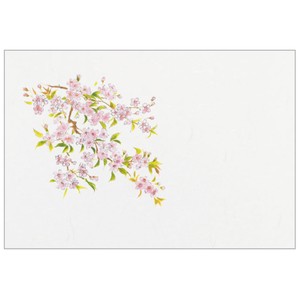 Placemat Cherry Blossoms 31 x 45cm Set of 100