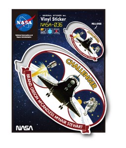 NASAステッカー CHALLENGER ロゴ エンブレム 宇宙 スペースシャトル NASA036 グッズ 2020新作
