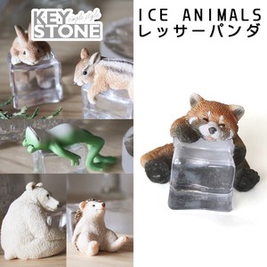 ICE ANIMALS　レッサーパンダ