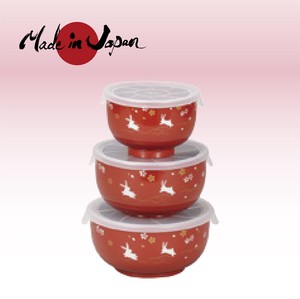 Soup Bowl Red Usagi bowl