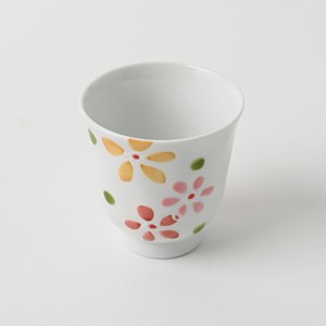Hasami ware Japanese Teacup Red Pastel Made in Japan