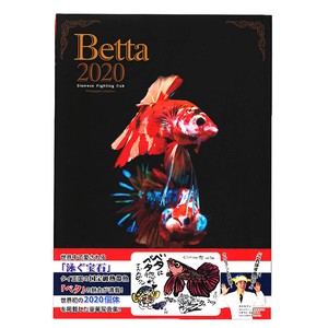 さかなクンがこれはすギョいと大絶賛 豪華 ベタ 写真集 「Betta 2020」 熱帯魚