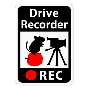 ドライブレコーダー搭載ステッカー 「りんごの上のデグーとビデオカメラ」 (マグネット)