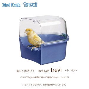 小鳥　水浴び お風呂 Bird Bath trevi　バードバス　トレビ