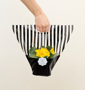 Bouquet Wrapper Stripe