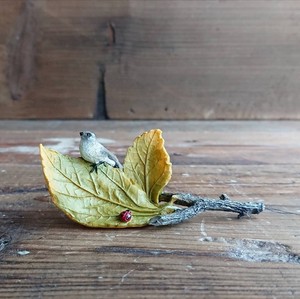 小鳥と天道虫 on the leaf