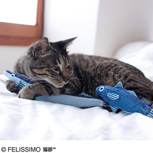 Cat Toy