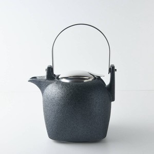 Mino ware Teapot sliver Made in Japan