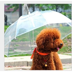 新作  ペット用 傘 散歩グッズ わんちゃん傘  雨対策  犬用傘  雨  LHZ114