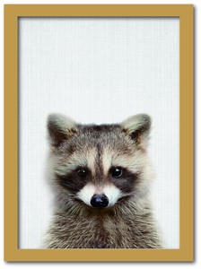 Art Frame Japanese Raccoon children Animal