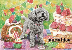 Poster Toy Poodle Cake