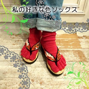 Socks Socks Cotton Midi Length Made in Japan