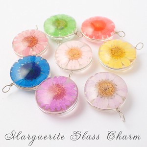 マーガレット ガラスチャーム 全9色 25 / 30mm【1個売り】 押し花 パーツ チャーム フラワー ハンドメイド