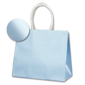 ヘイコー 手提げ 紙袋 スムースバッグ 24-11 パールカラー ライトブルー 水色 10枚
