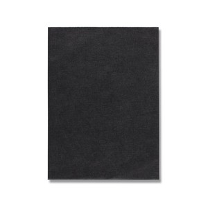 ヘイコー 不織布袋 Nノンパピエバッグ 12.5-17 黒 100枚