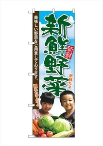☆G_のぼり SNB-2206 新鮮野菜 子供写真