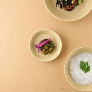 小田陶器 TOH 10弐重 10cm小皿 コルクベージュ[日本製/美濃焼/洋食器/リサイクル食器]