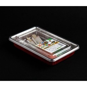Disposable Tableware Bento Box 10-pcs