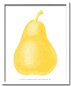アートフレーム　洋ナシ Pear Yellow