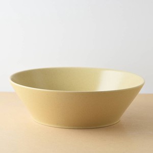 Mino ware Main Dish Bowl M Western Tableware Made in Japan