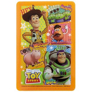 Accessory Case Toy Story