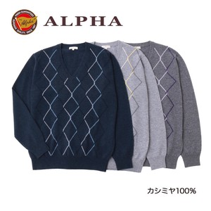 Sweater/Knitwear Cashmere