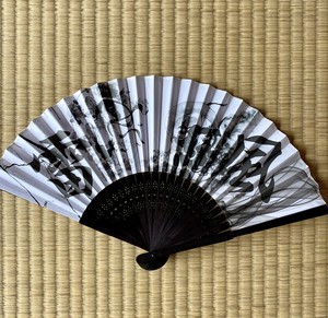Art Folding Fan