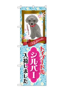 Store Supplies Banners Toy Poodle sliver