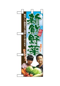 ☆N_ハーフのぼり 22451 新鮮野菜 子供写真
