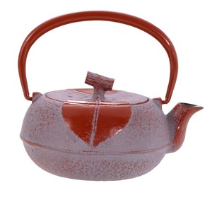 Nambu tekki Japanese Teapot