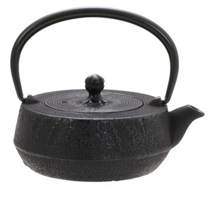Nambu tekki Japanese Teapot