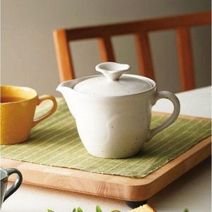 Seto ware Teapot Made in Japan